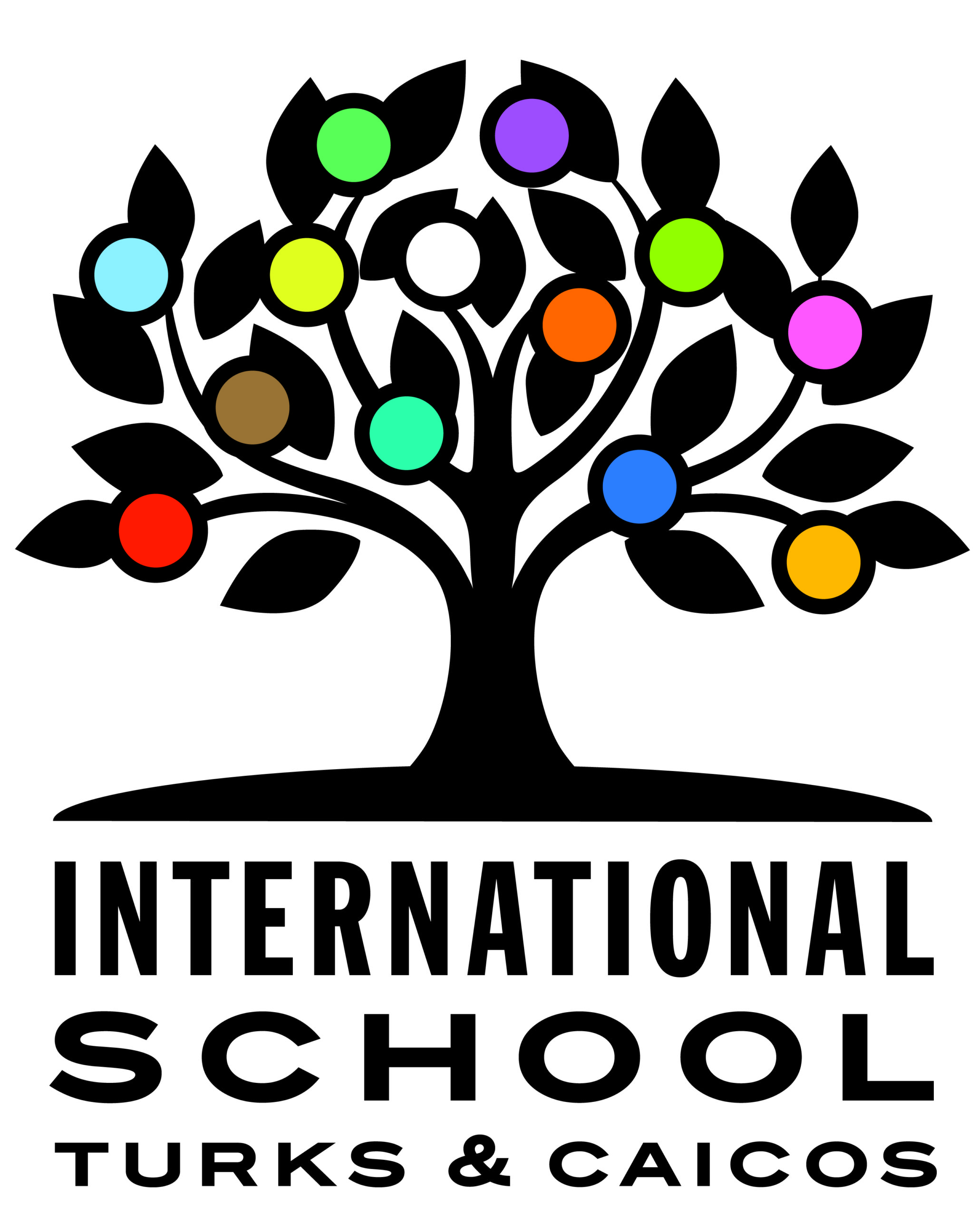International School Turks and Caicos