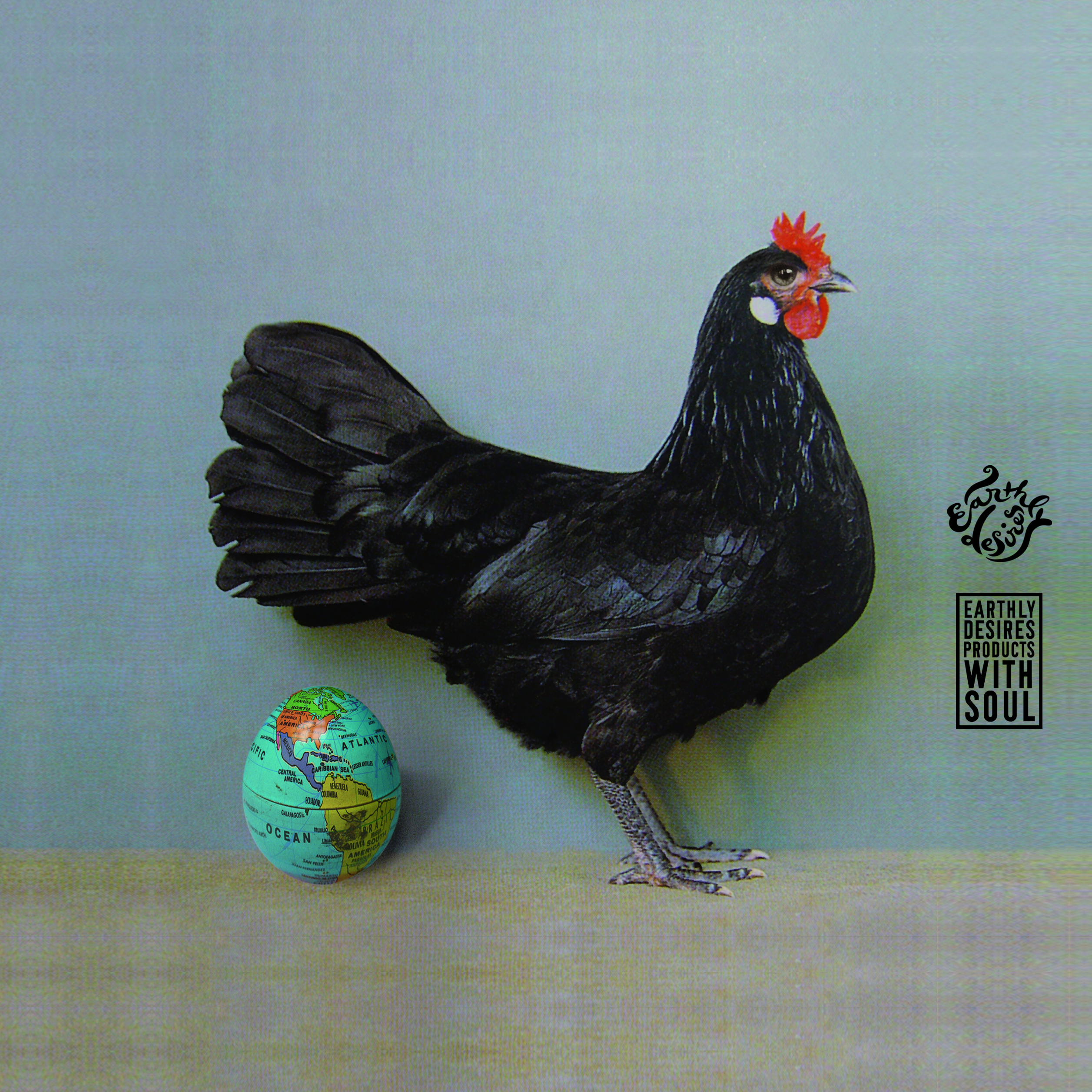 Black chicken artwork